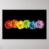 Rainbow Daisies Poster (Voorkant)
