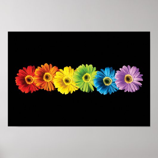 Rainbow Daisies Poster (Voorkant)