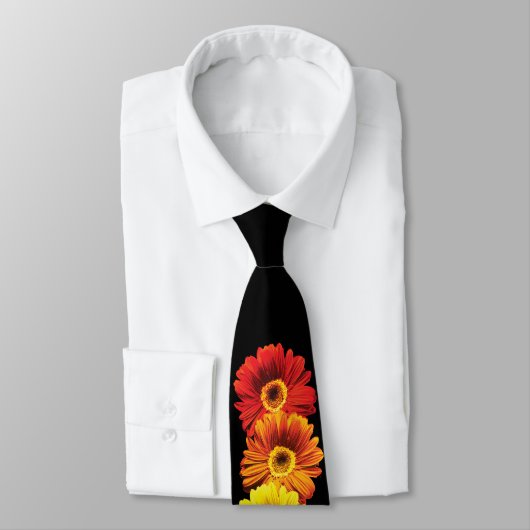 Rainbow Daisies Stropdas (Gebonden)