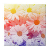 Rainbow Daisies Tegeltje (Voorkant)