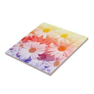 Rainbow Daisies Tegeltje