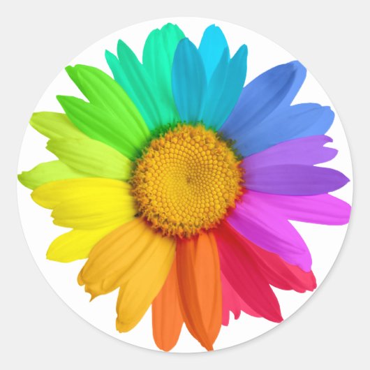 Rainbow Daisy Ronde Sticker (Voorkant)