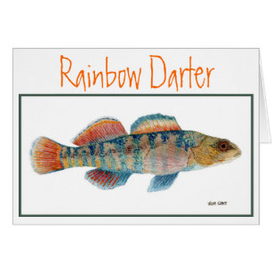 Rainbow Darter-kaart