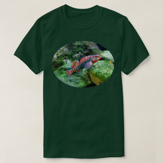 Rainbow Darter T-shirt (Design voorkant)