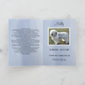 Rainbow Dog Memorial-fotokaart Aankondiging (Binnen)