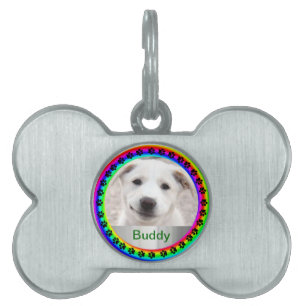 Rainbow Dog Walk van Kenneth Yoncich Huisdieren Naamplaatje