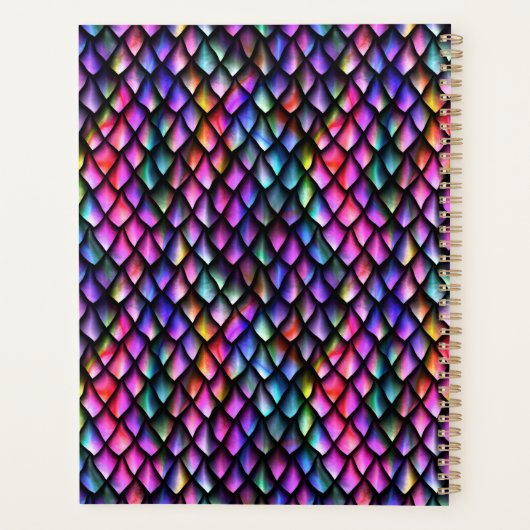 Rainbow Dragon Scales Planner (Achterkant)