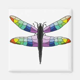 Rainbow Dragonfly magneet