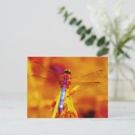 Rainbow Dragonfly op amber en fuschia Briefkaart (Staand voorkant)