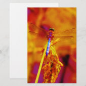 Rainbow Dragonfly op amber en fuschia Briefpapier (Voorkant / Achterkant)