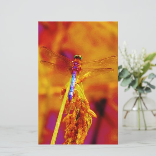 Rainbow Dragonfly op amber en fuschia Briefpapier (Staand voorkant)