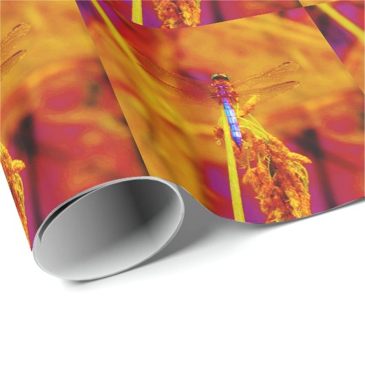 Rainbow Dragonfly op amber en fuschia Cadeaupapier (Rol Hoek)