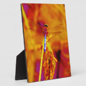 Rainbow Dragonfly op amber en fuschia Fotoplaat (Zijkant)