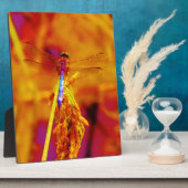 Rainbow Dragonfly op amber en fuschia Fotoplaat (Zijkant)
