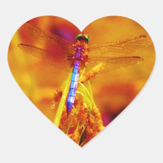 Rainbow Dragonfly op amber en fuschia Hart Sticker
