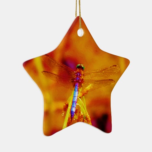 Rainbow Dragonfly op amber en fuschia Keramisch Ornament (Rechts)