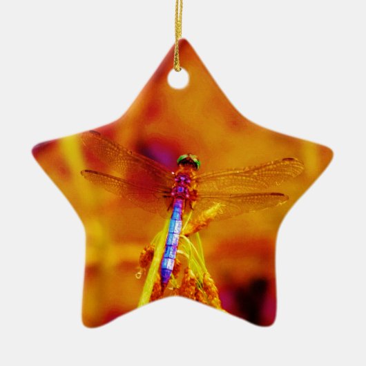 Rainbow Dragonfly op amber en fuschia Keramisch Ornament (Voorkant)