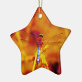 Rainbow Dragonfly op amber en fuschia Keramisch Ornament (Links)