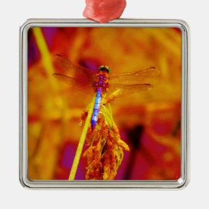 Rainbow Dragonfly op amber en fuschia Metalen Ornament