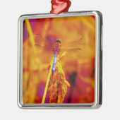 Rainbow Dragonfly op amber en fuschia Metalen Ornament (Links)