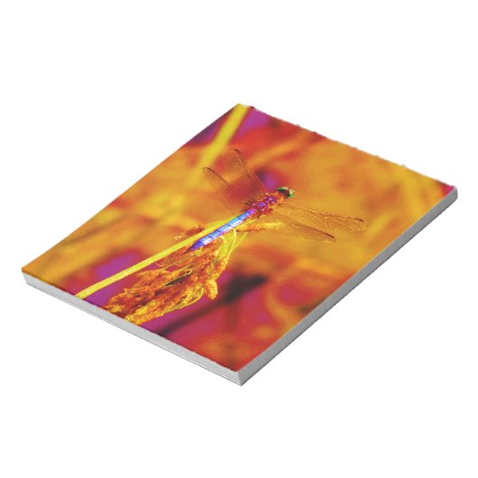 Rainbow Dragonfly op amber en fuschia Notitieblok (Linkerzijde)