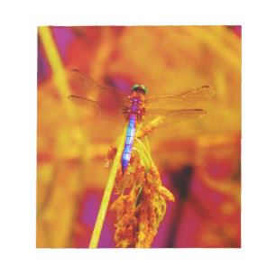 Rainbow Dragonfly op amber en fuschia Notitieblok