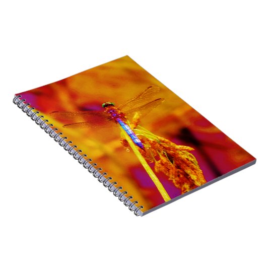 Rainbow Dragonfly op amber en fuschia Notitieboek (Rechterzijde)