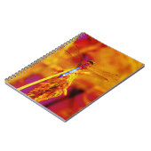 Rainbow Dragonfly op amber en fuschia Notitieboek (Linkerzijde)