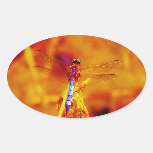 Rainbow Dragonfly op amber en fuschia Ovale Sticker (Voorkant)