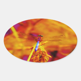 Rainbow Dragonfly op amber en fuschia Ovale Sticker