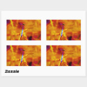 Rainbow Dragonfly op amber en fuschia Rechthoekige Sticker (Vel)