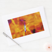 Rainbow Dragonfly op amber en fuschia Rechthoekige Sticker (Envelop)
