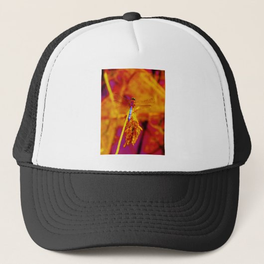 Rainbow Dragonfly op amber en fuschia Trucker Pet (Voorkant)