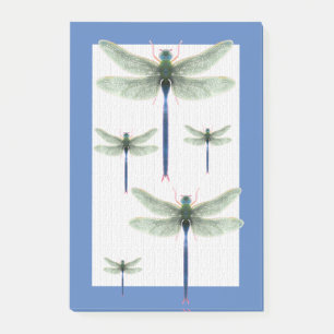 Rainbow Dragonfly Post-it® Notes