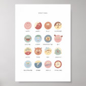 Rainbow Emomotion Educatief Poster (Voorkant)