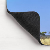 Rainbow en Afrikaanse baobab-boom, Adansonia Muismat (Hoek)