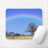 Rainbow en Afrikaanse baobab-boom, Adansonia Muismat (Met muis)