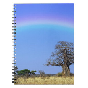 Rainbow en Afrikaanse baobab-boom, Adansonia Notitieboek