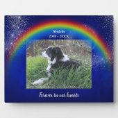 Rainbow en Stars Blue Pet Memorial Fotosjabloon Fotoplaat (Voorkant)