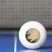 Rainbow en Trees Ping Pong Ball (Net)