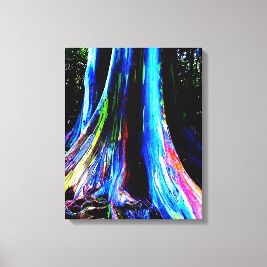 RAINBOW EUCALYPTUS TREE canvas (Voorkant)