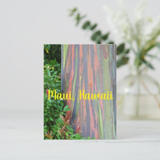 Rainbow Eucalyptus Tree Maui, Hawaii Briefkaart (Staand voorkant)