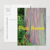 Rainbow Eucalyptus Tree Maui, Hawaii Briefkaart (Voorkant / Achterkant)