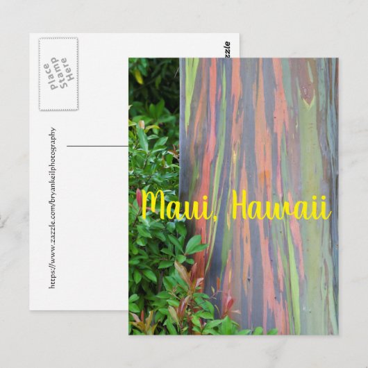 Rainbow Eucalyptus Tree Maui, Hawaii Briefkaart (Voorkant / Achterkant)
