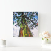 Rainbow Eucalyptus Tree Wall klok (Huis)