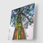 Rainbow Eucalyptus Tree Wall klok (Hoek)
