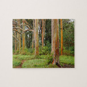 Rainbow Eucalyptus Trees, Maui, Hawaii, VS Legpuzzel