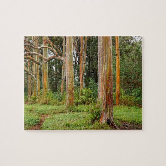 Rainbow Eucalyptus Trees, Maui, Hawaii, VS Legpuzzel (Horizontaal)