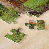 Rainbow Eucalyptus Trees, Maui, Hawaii, VS Legpuzzel (Zijkant)