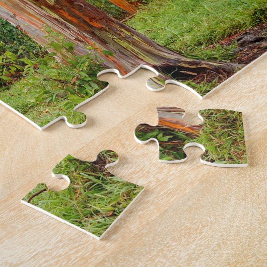 Rainbow Eucalyptus Trees, Maui, Hawaii, VS Legpuzzel (Zijkant)